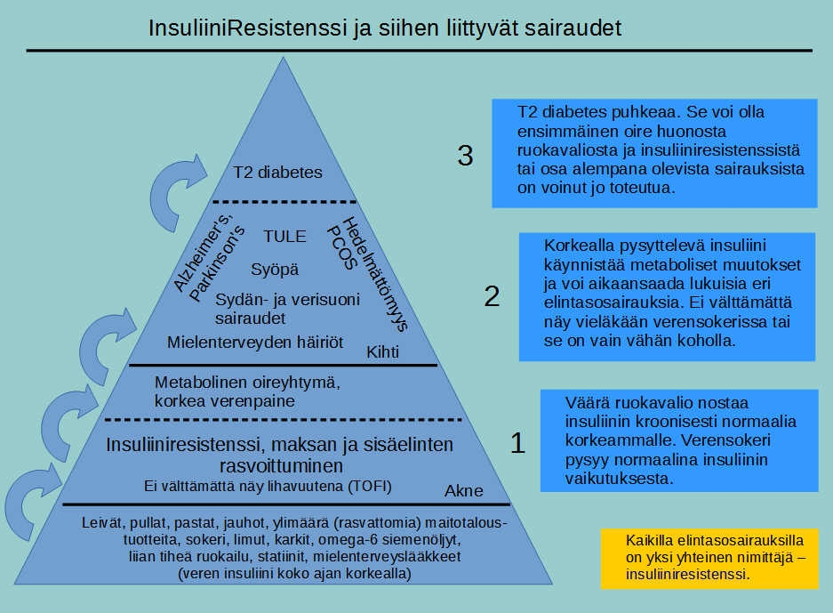 insuliiniresistenssi_1