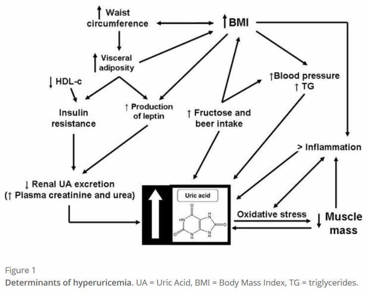 insuliiniresistenssi_10
